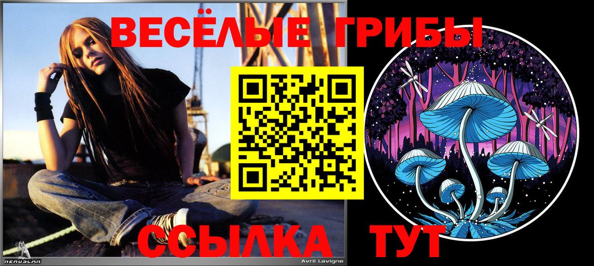 АМФ   APVP СК кристаллы  Вход с VPN  Мефедрон   Качканар  Cocaine  ГАШИШ 