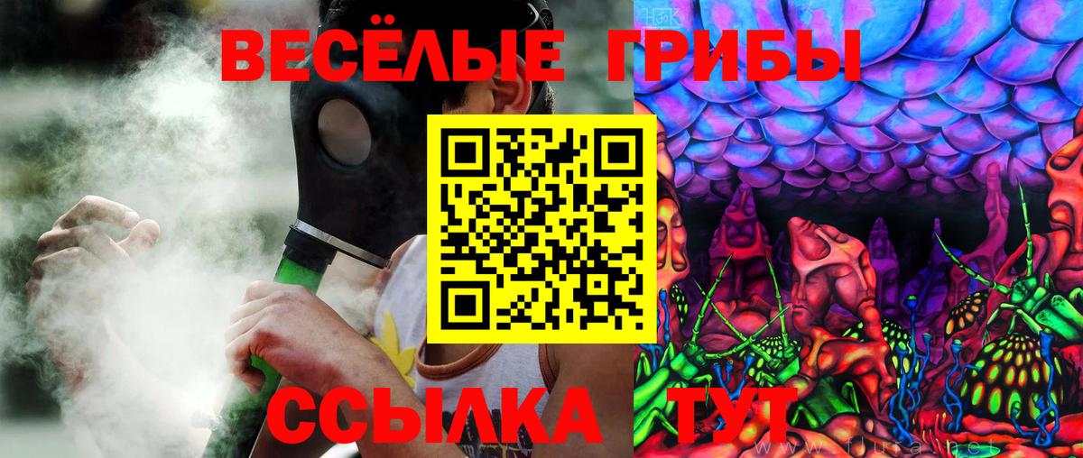Псилоцибиновые грибы Psilocybine cubensis Качканар